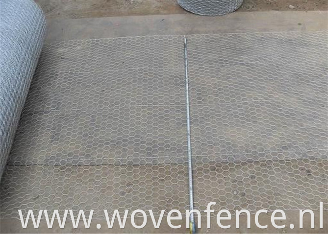 hexagonal wire mesh with reinforce wire